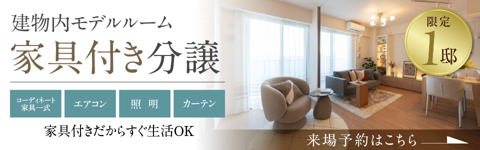 建物内モデルルーム家具付き分譲　限定1邸　コーディネート家具一式 エアコン 照明 カーテン 家具付きだからすぐ生活OK 来場予約はこちら